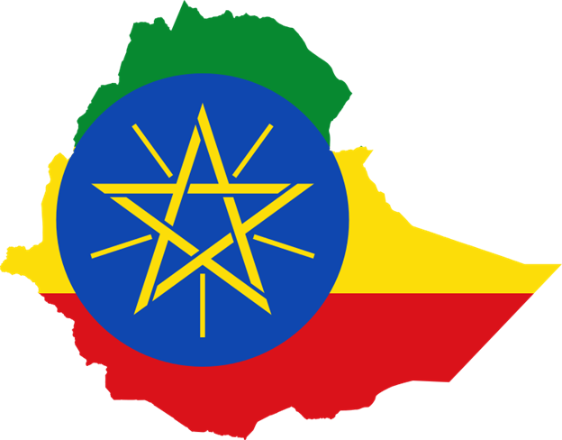 Ethiopian Health organization