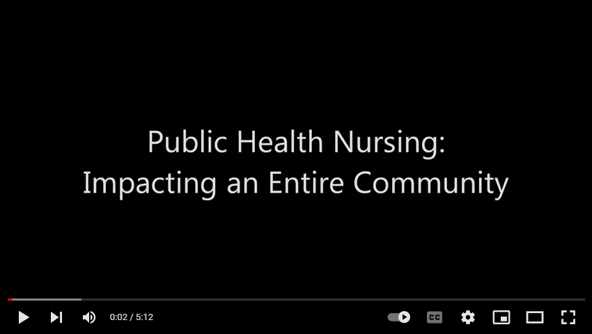 Public Health Nursing: Impacting an Entire Community